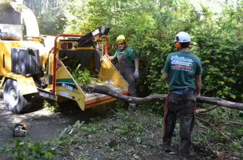 tree services Kodiak